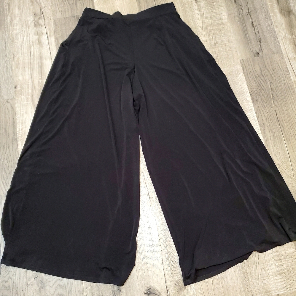 EXPRESS Wide Leg Dress Pants ♡